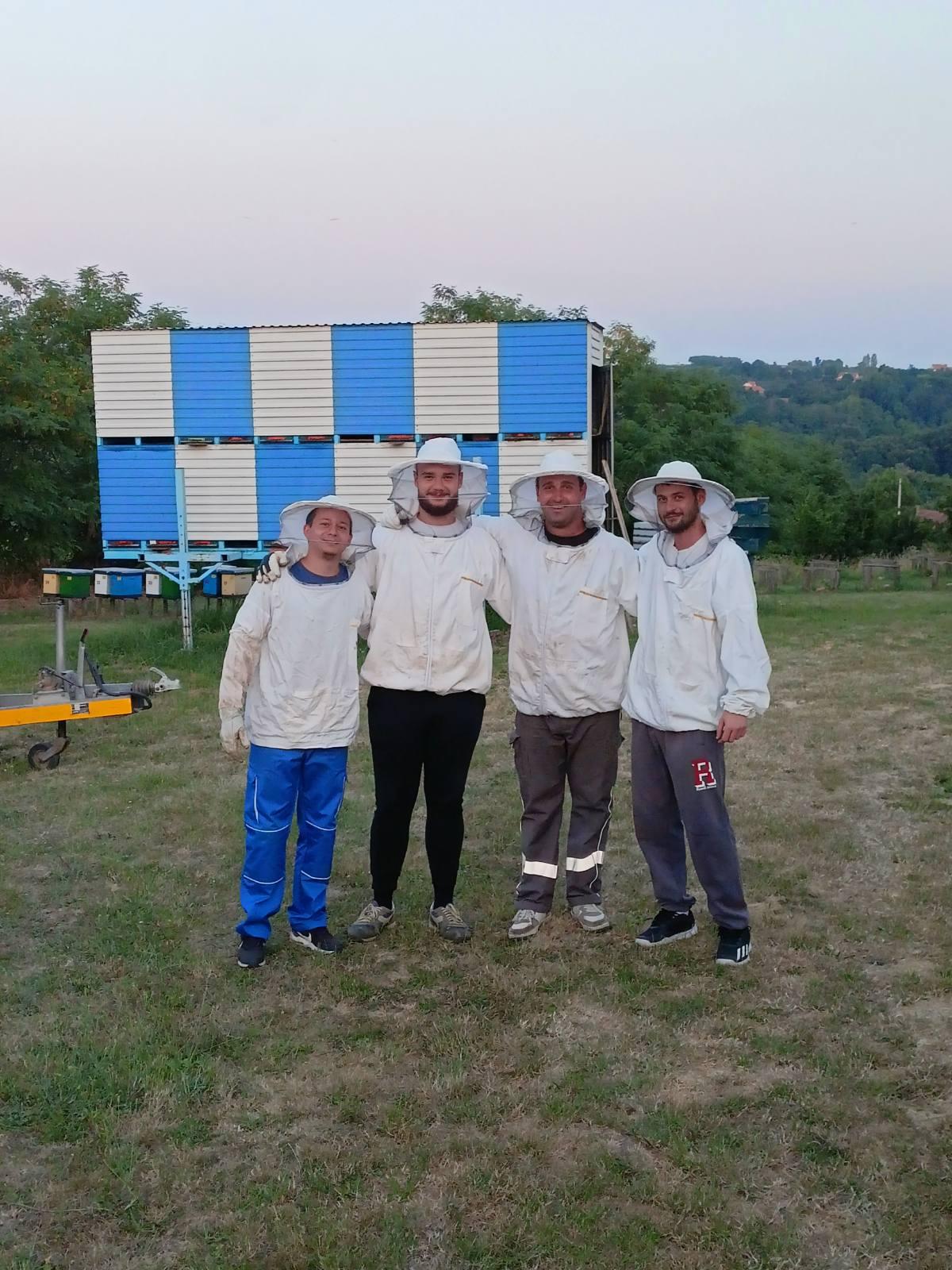 Fotografija iz pčelinjaka 1