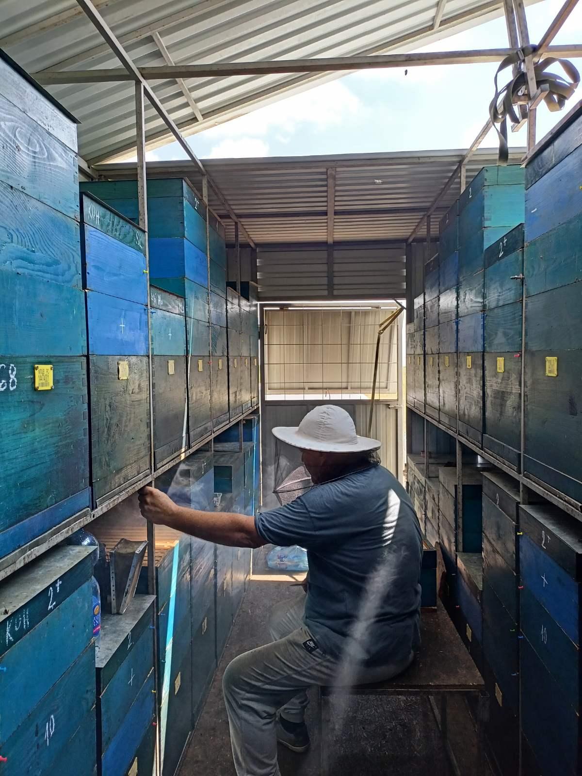 Fotografija iz pčelinjaka 9