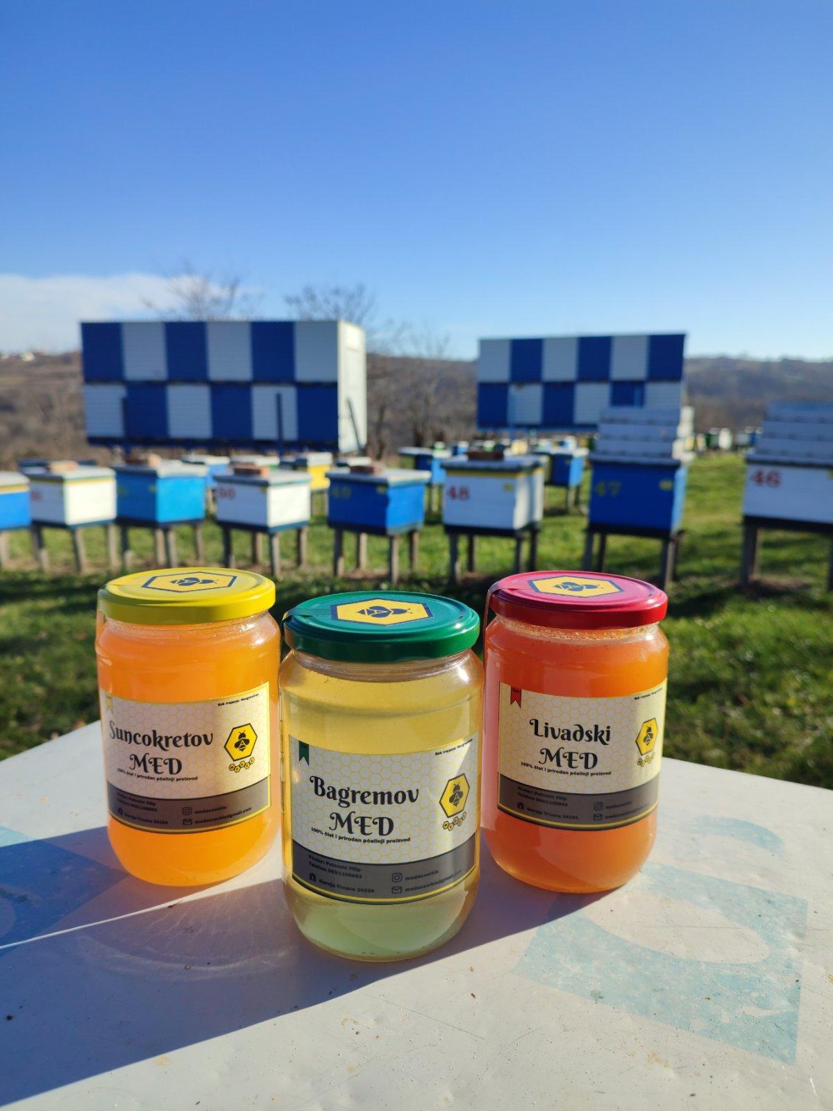 Fotografija iz pčelinjaka 12