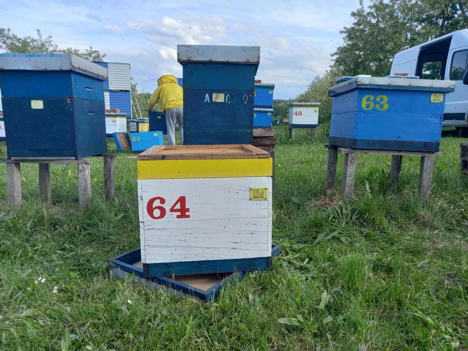 Fotografija iz pčelinjaka 14